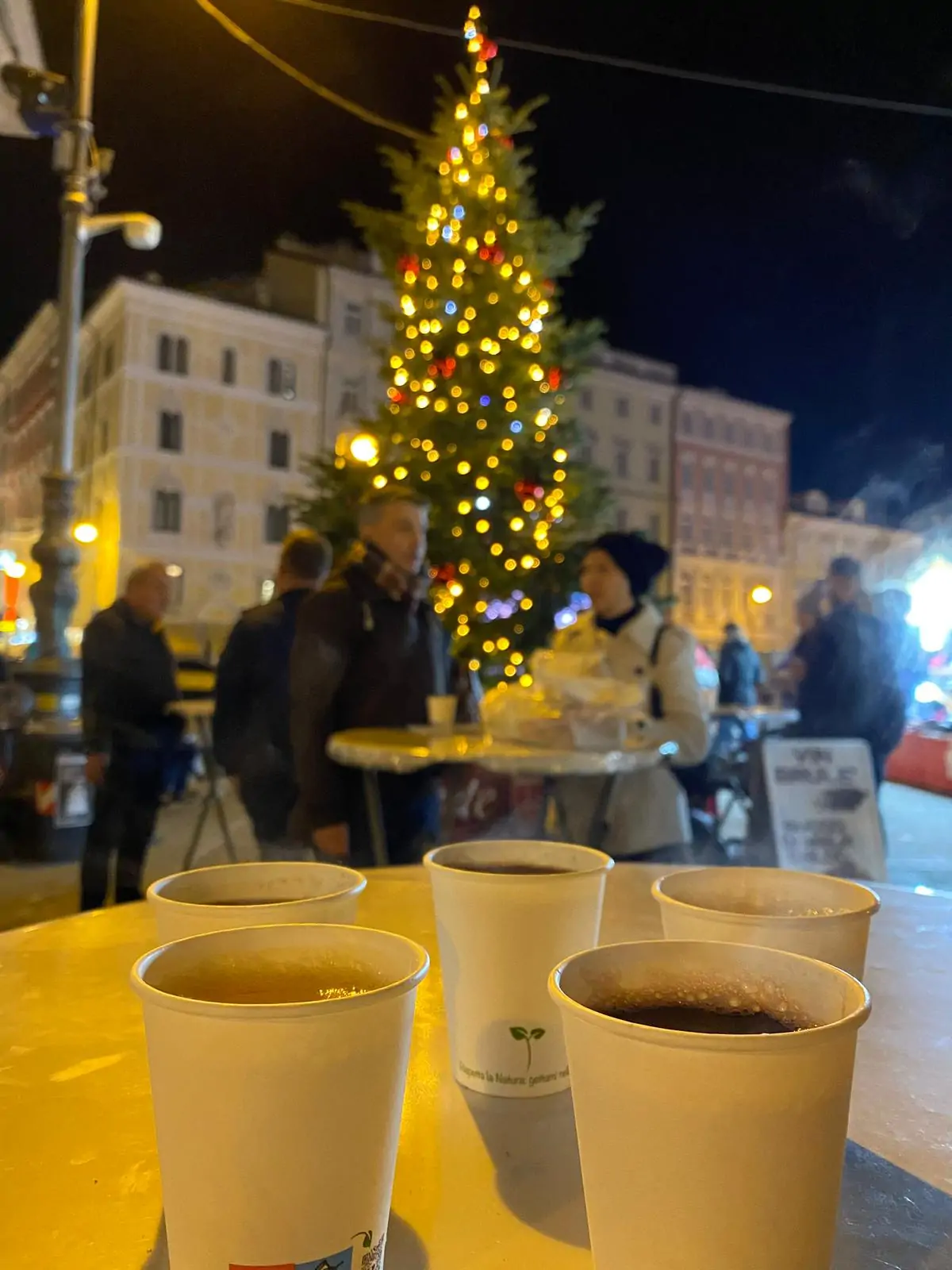 Predbožićni izlet u Trst i Miramare - IPA Istra 